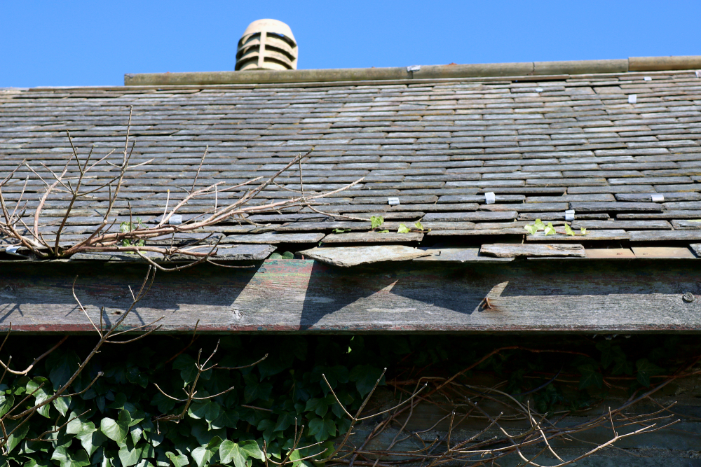 Loose,roof,slates.,old,rag,slates,slipping,from,an,old
